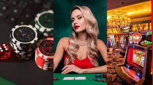 The Dog House live-dealer table at gali77 studio with HD camera angles and professional dealer